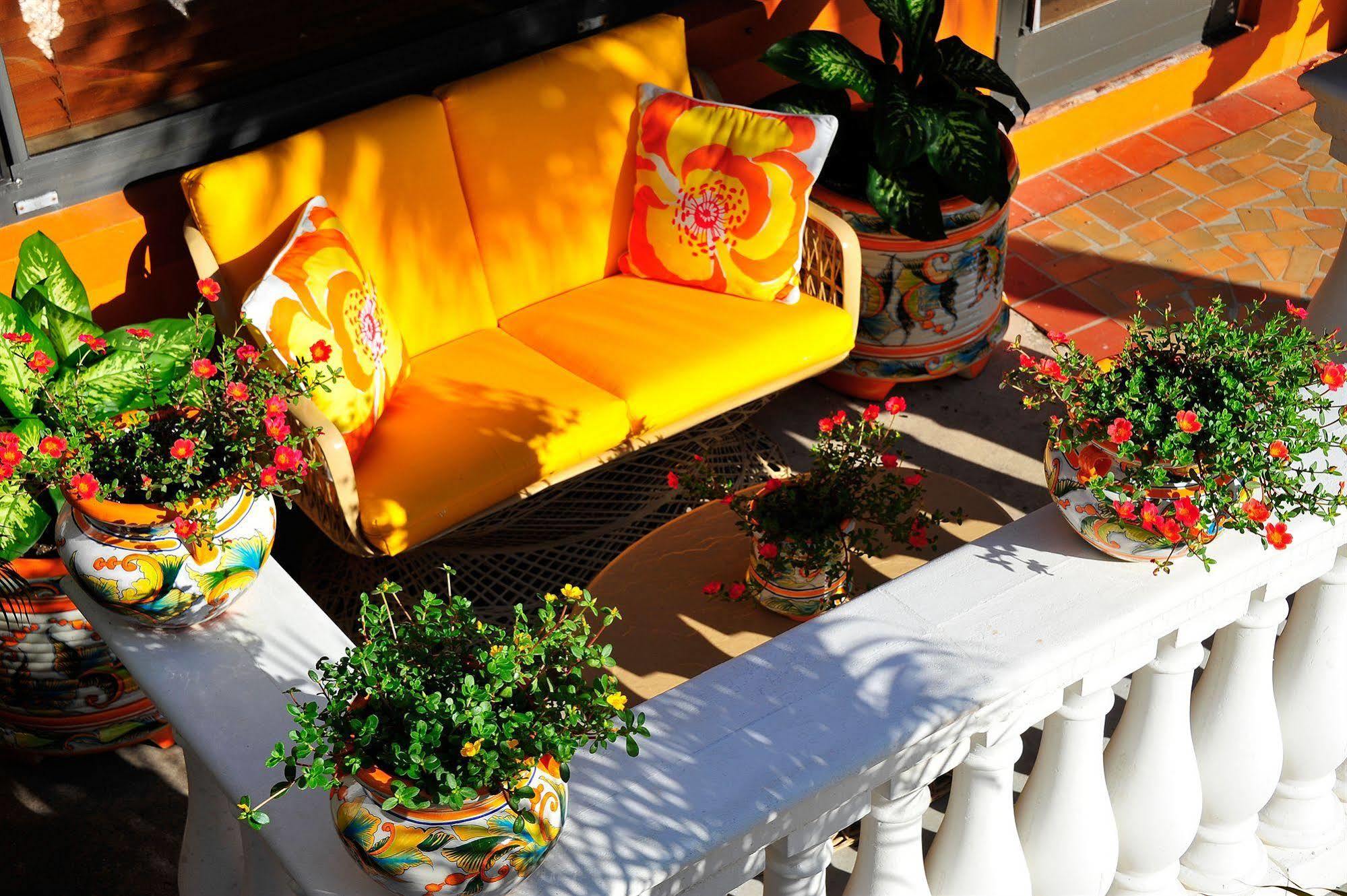 Blue Seas Courtyard Hotel Lauderdale-by-the-Sea Exterior photo